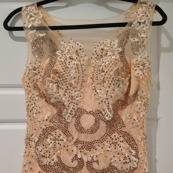 Stunning Peach Lace Gown with Train - Picture 5 of 12